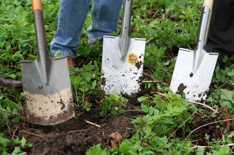 pepiniere-PEILLE-min_work-lawn-flower-tool-green-backyard-1103633-pxhere.com